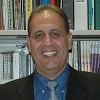 Professor Ayman Ramadan
